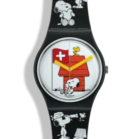 Grande Bracchetto Grande Bracchetto