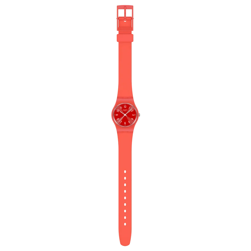 Notes of Coral Notes of Coral