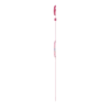 Radiantly Pink Radiantly Pink